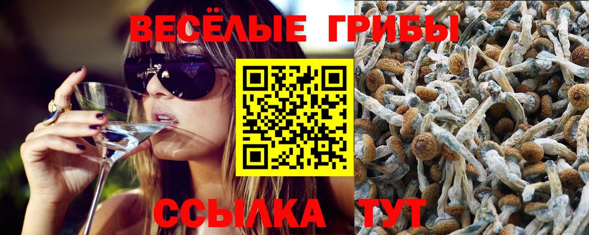 Галлюциногенные грибы прущие грибы Медногорск
