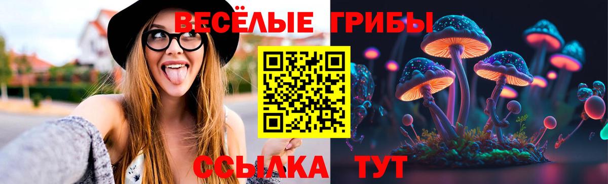 Медногорск  закладка  Вход с VPN  Галлюциногенные грибы мицелий 